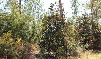 Sycamore Street, Alford, FL 32420