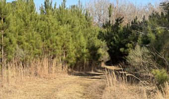 Delancey Road, Braxton, MS 39044