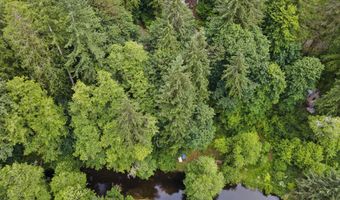 10235 RIDGE VIEW Ter, Birkenfeld, OR 97016