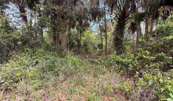 COUNTY ROAD 445A, Astor, FL 32102