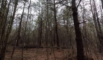 Christian Hts Road, Braxton, MS 39044