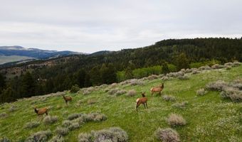 Trail Creek Road Lot 2, Bozeman, MT 59715
