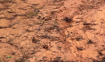 920 B Auburn Dr, Bogue Chitto, MS 39629