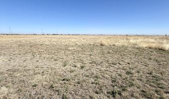 3503 E Fm 597, Abernathy, TX 79311