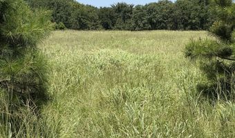 0001 E 1960 Rd, Antlers, OK 74523