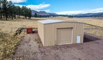 10 County Road N2157, Alpine, AZ 85920