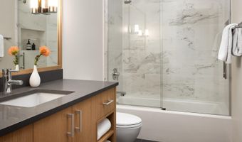 1006 E Cooper Ave, Aspen, CO 81611