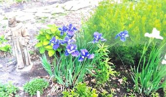 1626 Melvina Ln SW, Alexandria, MN 56308