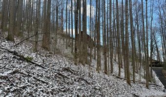 Letties Ln, Balsam, NC 28779