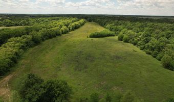 Jenkins Road, Alligator, MS 38720