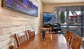 313 VINE St 313, Aspen, CO 81611