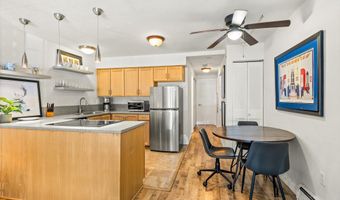 210 E Cooper Ave 1-C, Aspen, CO 81611
