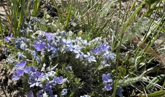 TBD MOUNTAIN VIEW Drive, Bondurant, WY 82922