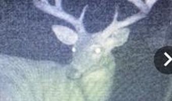 240 Magnolia Ln, Bennington, OK 74723