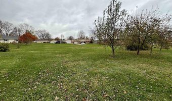 Lot 81 82 84 W 5TH Street, Andalusia, IL 61232