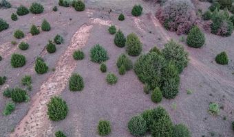 Tract 3 Acme RD, Asher, OK 74826