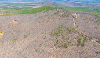 Larkin Mountain, Amherst, VA 24521