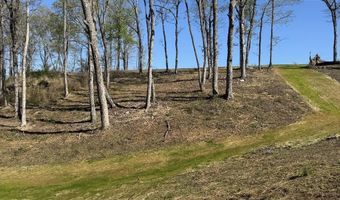 9 85 Appaloosa Dr, Albertville, AL 35951