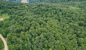 Pheasant Chase lot 3812 81 T, Ararat, VA 24053