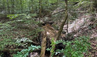 Holiday Lake Road, Appomattox, VA 24522