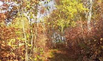 31538 County 23, Akeley, MN 56433