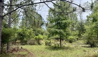 4850 NW 55th Ave, Bell, FL 32619