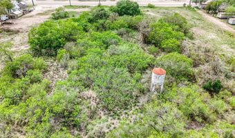 900 N Johnson Street Lot 69 70, Alice, TX 78332