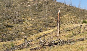 Pine Acres Rd, Bellvue, CO 80512