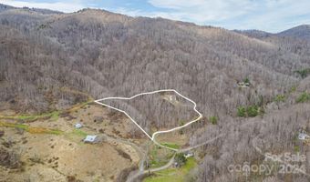 4823 Max Patch Rd, Clyde, NC 28721