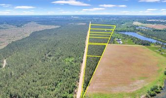 Tract 2 Ocelot, Alma, GA 31510