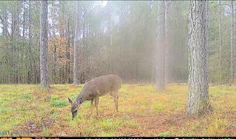 U.S. Highway 51, Bogue Chitto, MS 39629