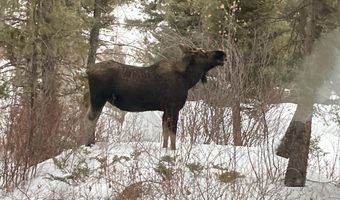 31 Basin Creek Rd, Boulder, MT 59631
