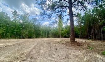 SE Lee Drive, Bogue Chitto, MS 39629