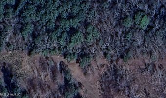 County Road 267 lot 16, Abbeville, MS 38601