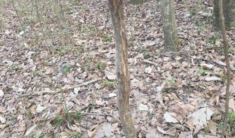 U.S. Highway 51, Bogue Chitto, MS 39629