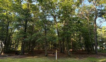 MAHAN CORNER Road, Marydel, DE 19964