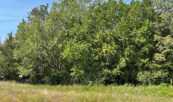 Highway 2 lot 43, Antlers, OK 74523