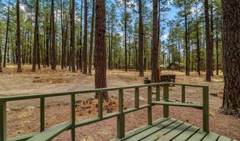 8 County Road 2267, Alpine, AZ 85920