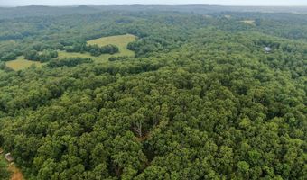 17585 Co Rd #Af-304, Ava, MO 65608