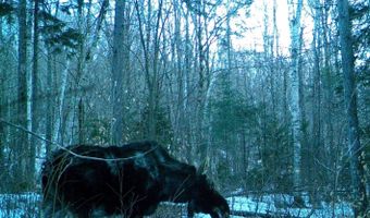 28 Miles Rd, Benton, NH 03785