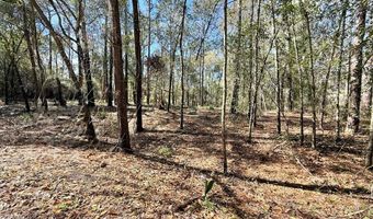 Knollwood lot 4C, Bainbridge, GA 39819
