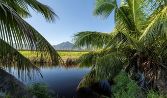 221 Kihapai St 1&2, Kailua, HI 96734