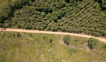 Hwy 9, Bruce, MS 38915