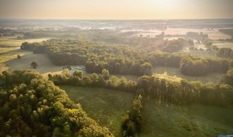 Tract 4 County Road 503, Anderson, AL 35610