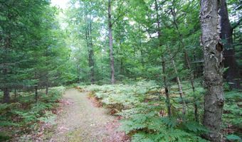 2782 River Rdg, Alger, MI 48610