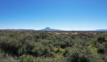 Butcherknife Road, Alpine, TX 79830