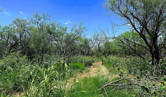 TBD WEST TRACT County Road 356, Anson, TX 79501