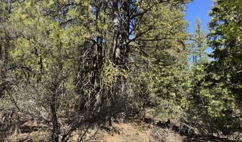 Horned Owl Way 385461, Bonanza, OR 97623