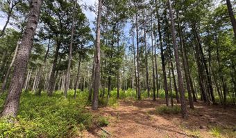 Fox Paw Court, Branchville, SC 29432