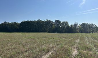 14442 State Highway Af, Ava, MO 65608